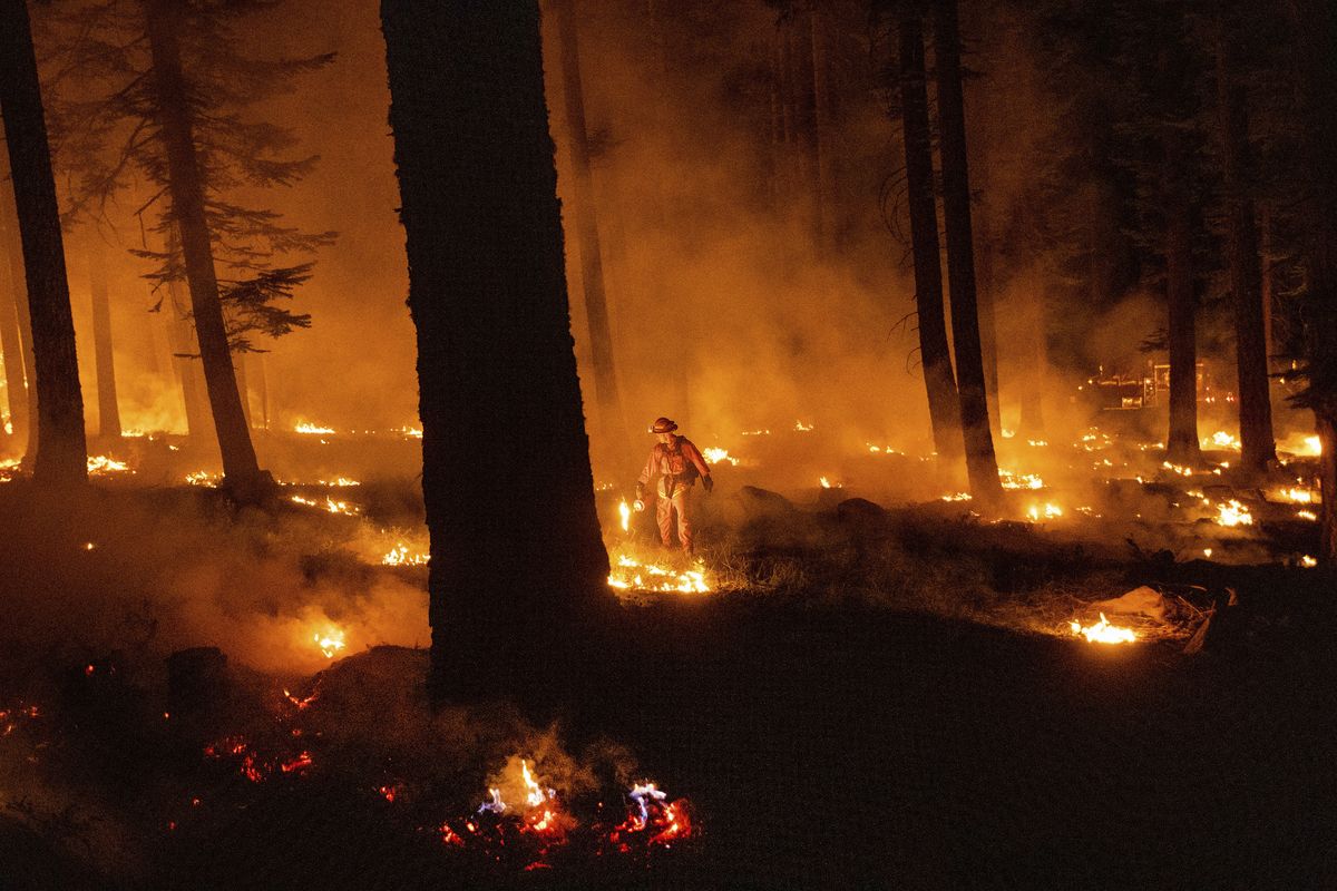 A firefighter uses a drip torch to ignite vegetation while trying to stop the Dixie Fire from spreading in Lassen National Forest, Calif., on Thursday.  (Noah Berger)