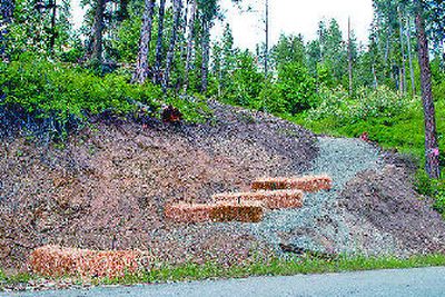 
Coeur d'Alene officials say a homeowner violated city rules by carving a roadway into this hill, allegedly so he could drive to his Fernan Lake dock. 
 (Kathy Plonka / The Spokesman-Review)