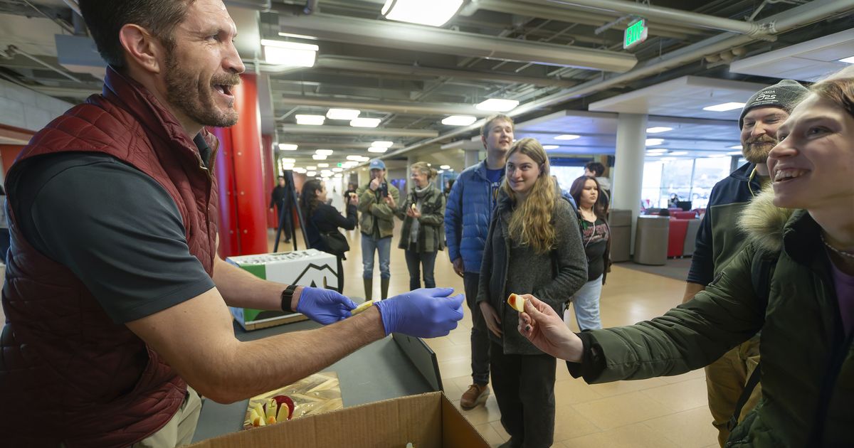 Lucky few get first-taste of new Sunflare apple variety developed at Washington State University