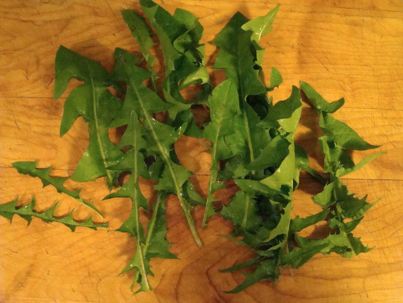 Dandelion Greens (Maggie Bullock)