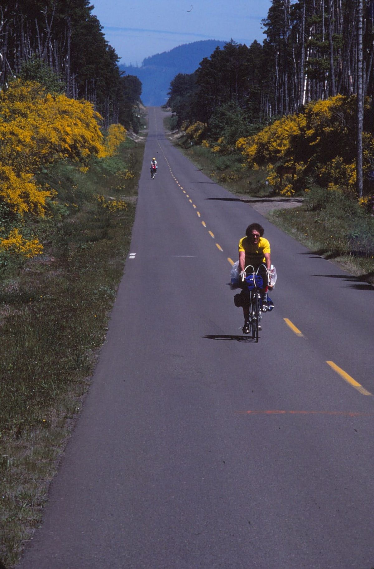 Bicycle tourists found occasional lonesome stretches lined with scotchbrum along the Oregon Coast as they pedaled the TransAmerica Bicycle Trail in 1976, the year the route was unveiled by Missoula-based Bikecentennial.  (Rich Landers/For The Spokesman-Review)