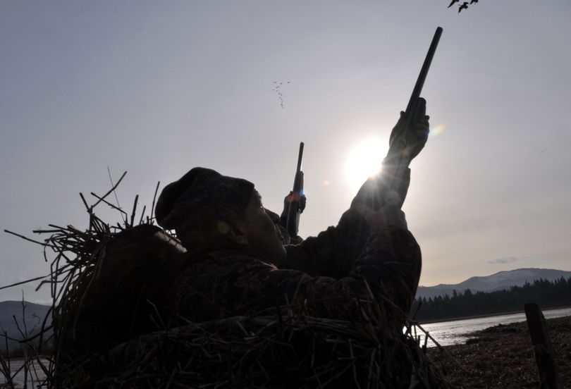 Steve Croston and Tom Pipkin burst out of their blind to shoot at Canada geese during filming of the Working Man's Retriever TV series, featuring Dan Hosford, professional dog trainer from Medical Lake, Wash. (Rich Landers)