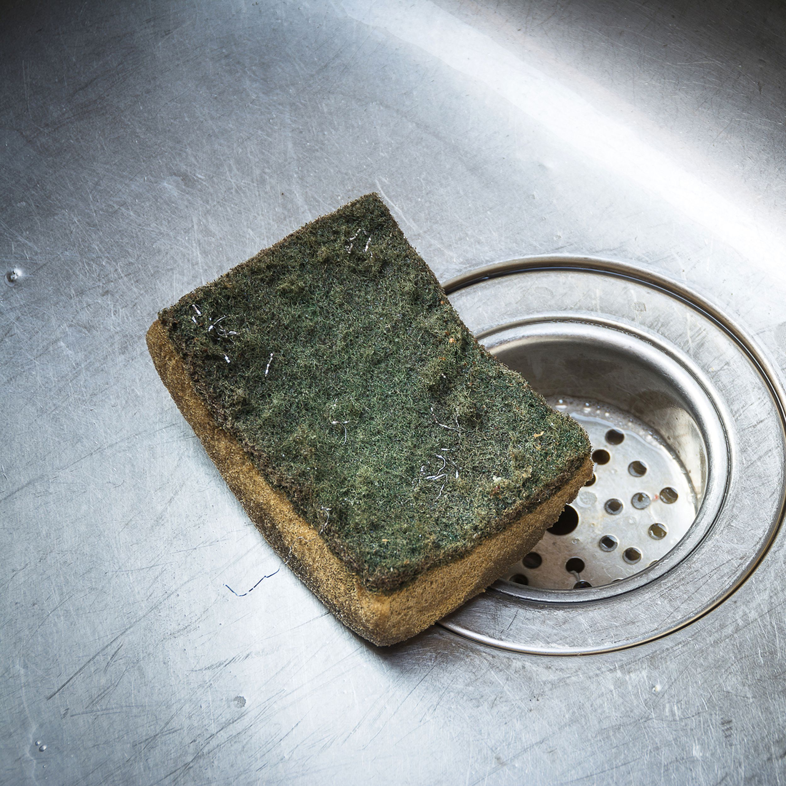 The Surprising Structural Reason Your Kitchen Sponge is Disgusting