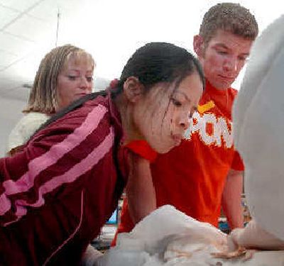 
Pre-nursing student Jessica Sauls leans over the abdomen of a cadaver for a better look with Deirdre Gilmore and Robby Mueller during anatomy class at North Idaho College on Tuesday. 
 (Jesse Tinsley / The Spokesman-Review)