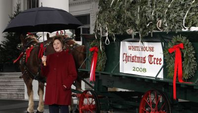 First lady Laura Bush  with the just-delivered White House Christmas tree  on Sunday.  (Associated Press / The Spokesman-Review)