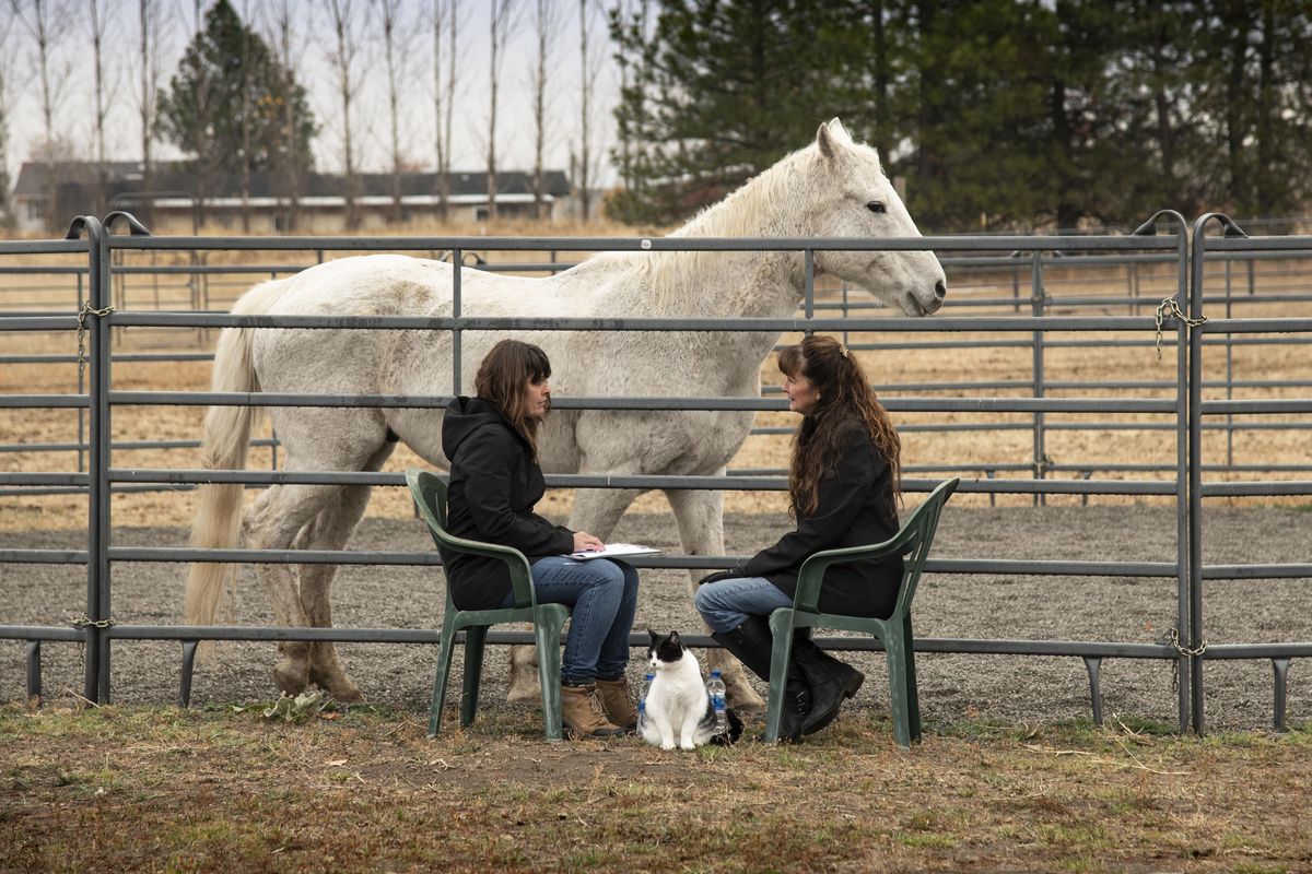 At the Healing with Horses Sanctuary, Gloria Lybecker,  right, works with client equine therapy student Ruth Crea using a therapy horse named Finn. The nonprofit organization aims to help people cope with maladies by having them work with horses. (Colin Mulvany / The Spokesman-Review)
