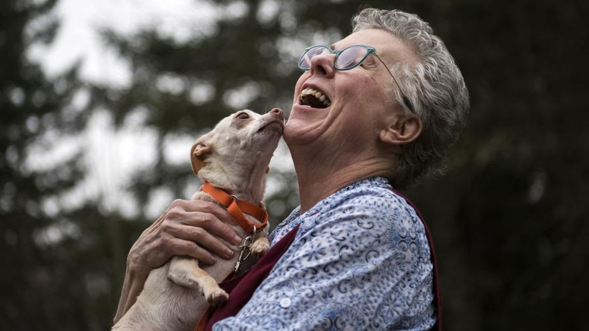 retired-humane-society-volunteer-photographs-animals-up-for-adoption