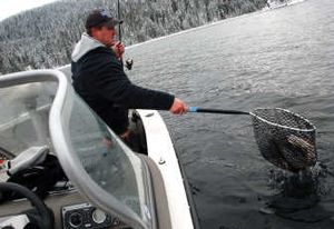 
His bare hands seemingly impervious to the wintry cold, Seth Burrill of Otis Orchards, host for the Angler's Xperience TV fishing show, nets one of a couple dozen mackinaw he caught recently while light-tackle fishing in shallow water at Priest Lake.
 (Photo by RICH LANDERS / The Spokesman-Review)