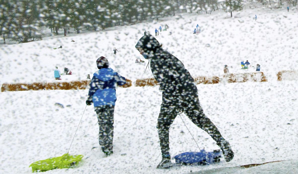 Sledders make their way toward Cherry Hill Park in Coeur d'Alene on Friday, Dec. 29, 2017. (Kathy Plonka / The Spokesman-Review)