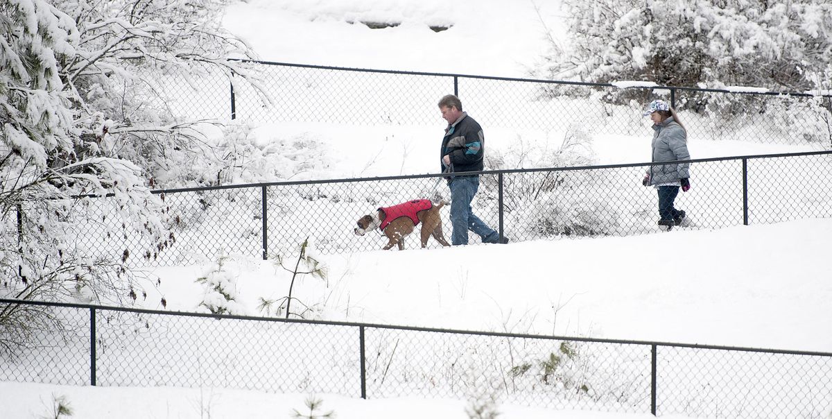 Dale and Lani Deming walk Gus their Boxer through Falls Park in Post Falls on Wednesday, Feb. 13, 2019. (Kathy Plonka / The Spokesman-Review)