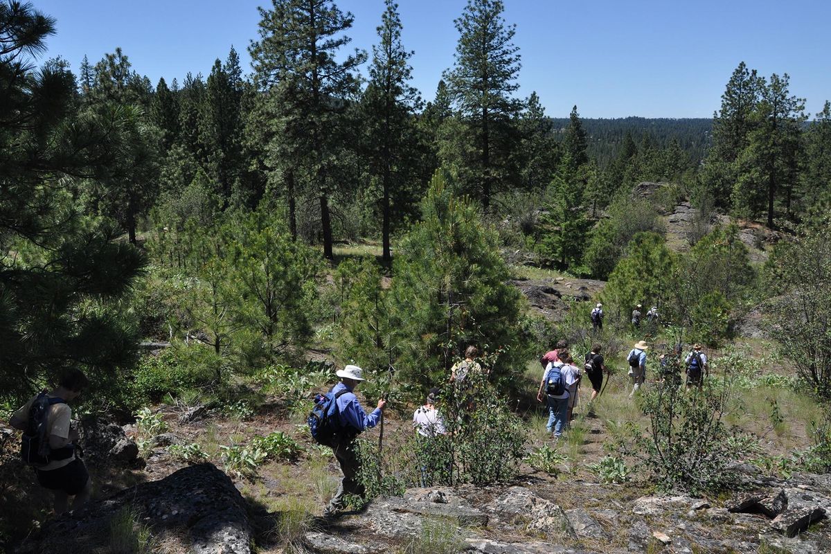 Hikers follow a route through the Dishman Hills Natural Area. (Rich Landers / The Spokesman-Review)