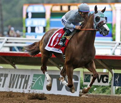California Chrome will try to cap an undefeated year with a victory in the $6 million Breeders’ Cup Classic this weekend at Santa Anita. (Lenny Ignelzi / Associated Press)