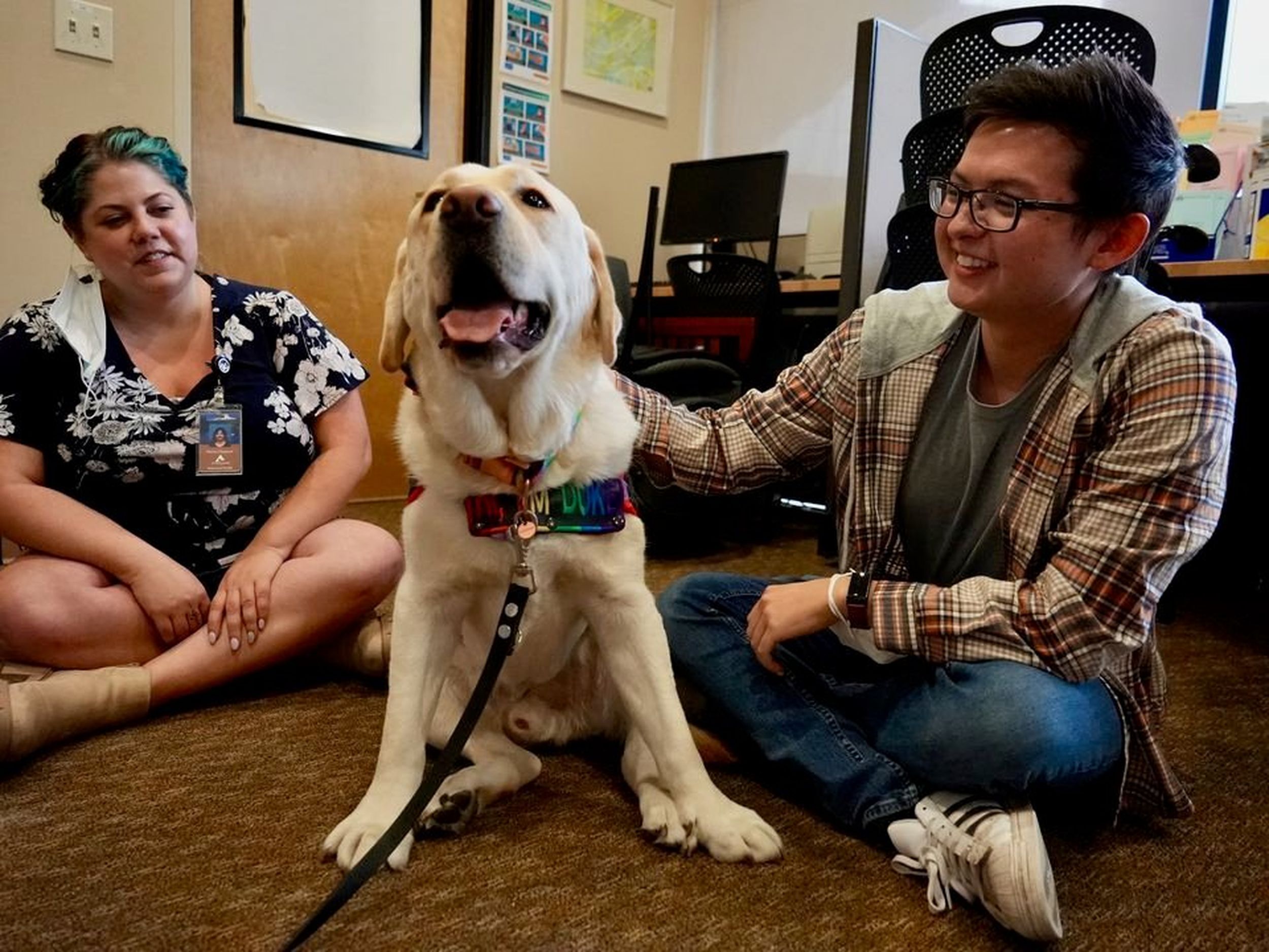 Would be show dog finds his calling as a therapy dog for children