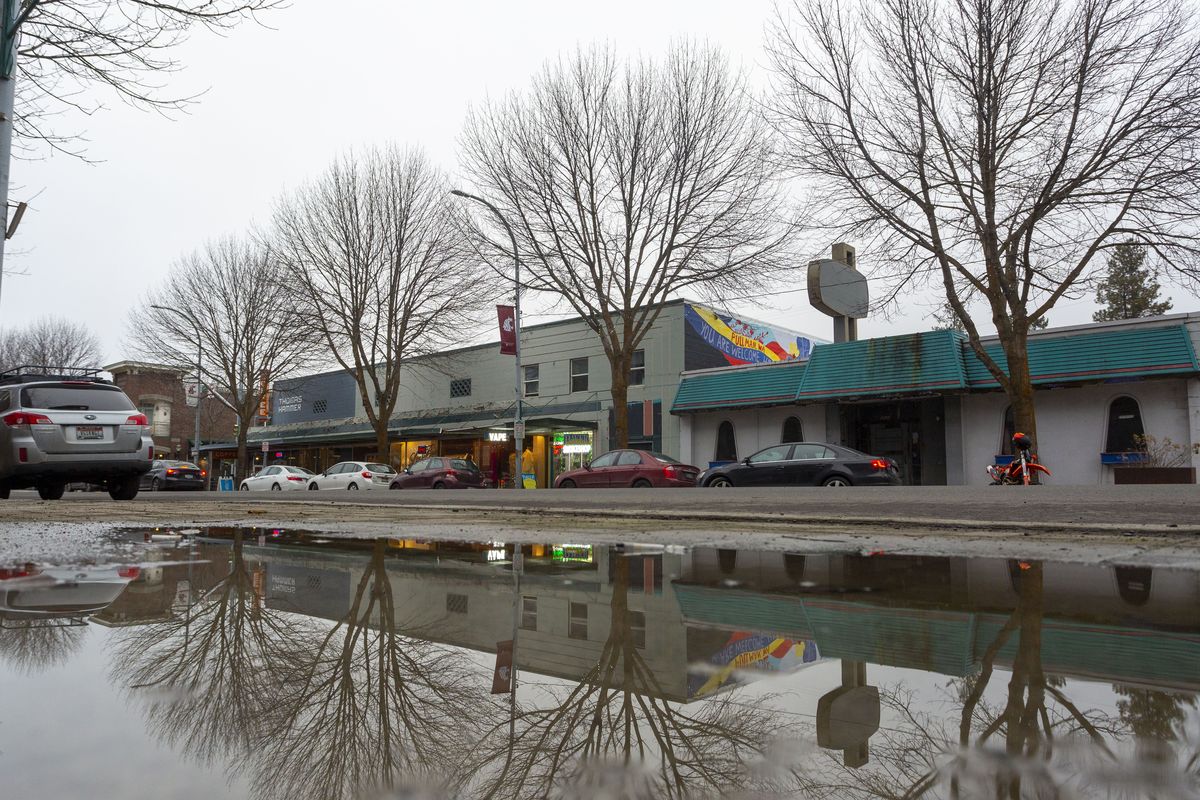 Trees are reflected in a puddle on Main Street in downtown Pullman on Feb. 6.  (Iain Crimmins/For The Spokesman-Review)