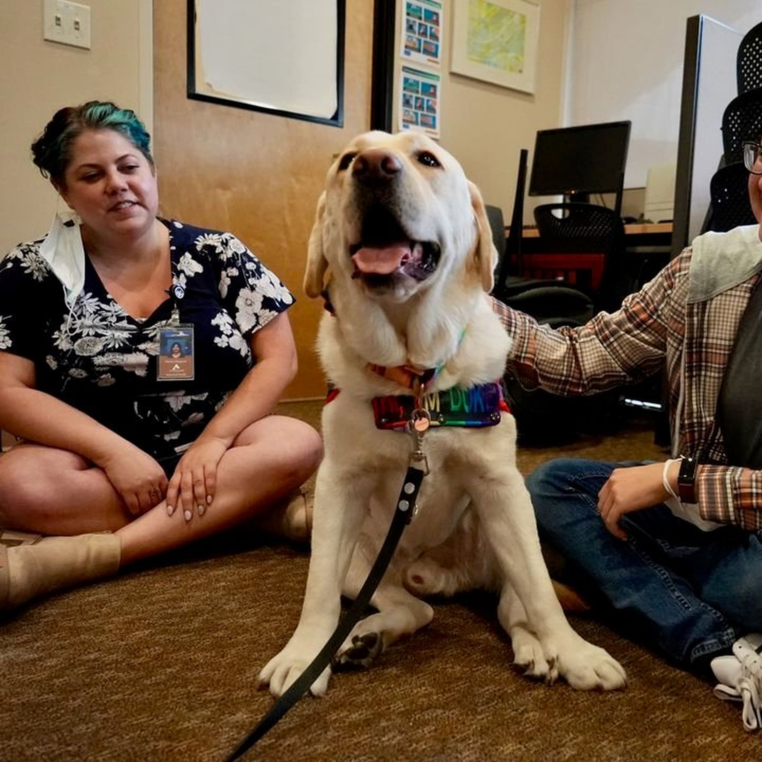 Would be show dog finds his calling as a therapy dog for children