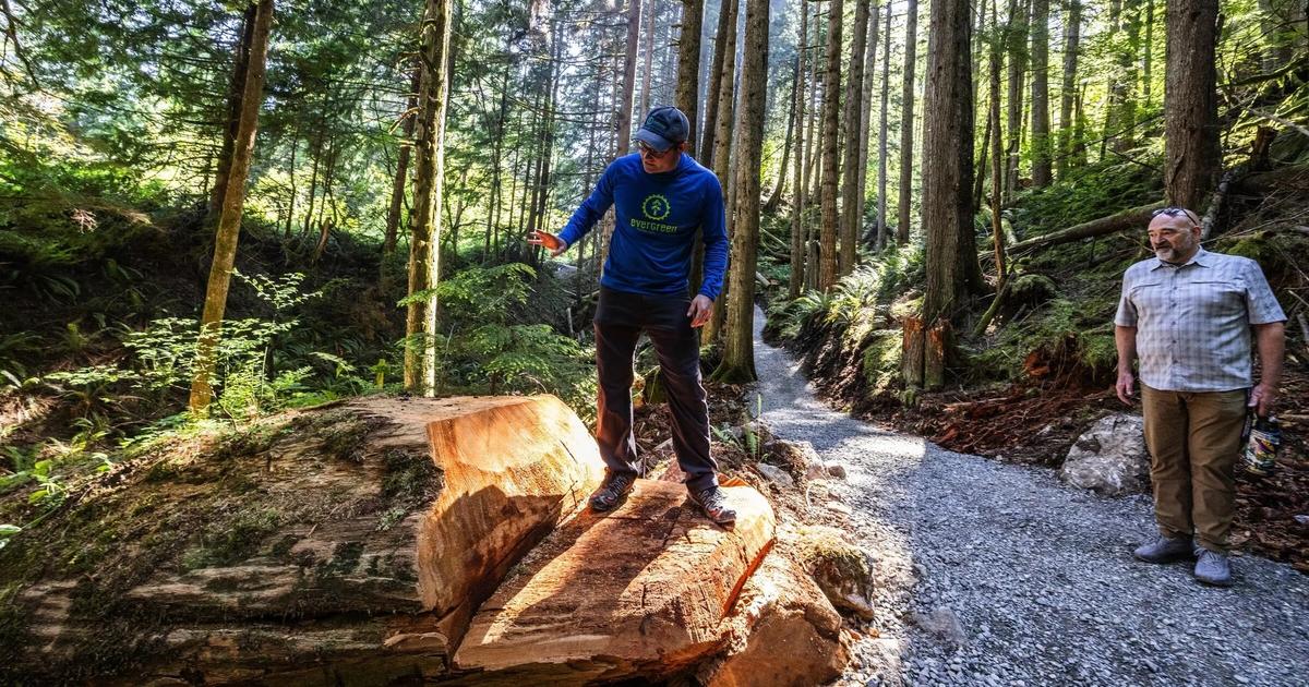 Palouse to Cascades Trail bypass opens in Western WA after flood damage