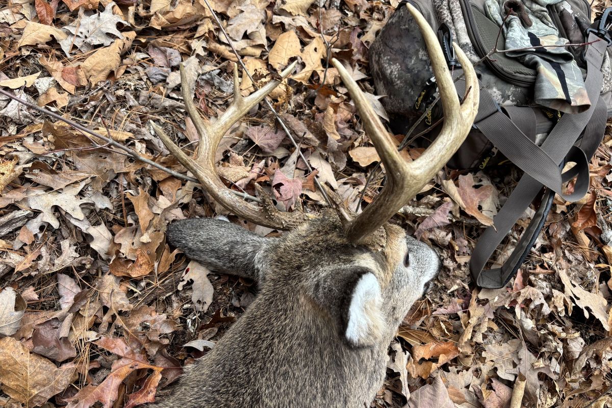 The rack of a 10-point buck taken by the author in western Virginia in November 2024.  (Dave Nichols/The Spokesman-Review)