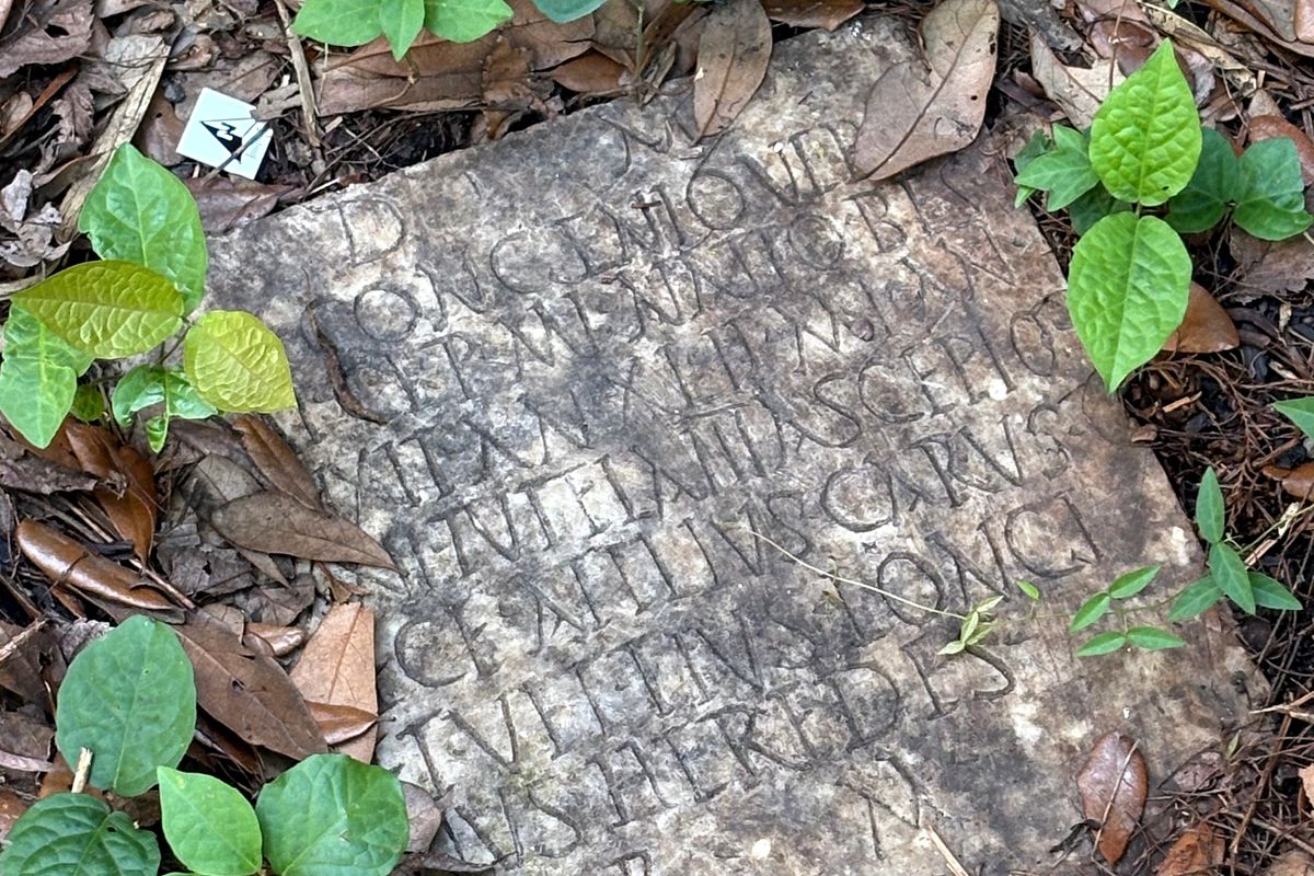 Daniella Santoro originally thought the grave marker in her yard was a massive rock. (Photo by Susann Lusnia/Photo by Susann Lusnia)
