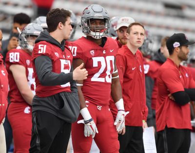 Washington State linebacker Dominick Silvels (20) smiles on the sidelines during the Cougars’ Crimson and Grey Game on Saturday, April 20, 2019, at Martin Stadium in Pullman. (Tyler Tjomsland / The Spokesman-Review)