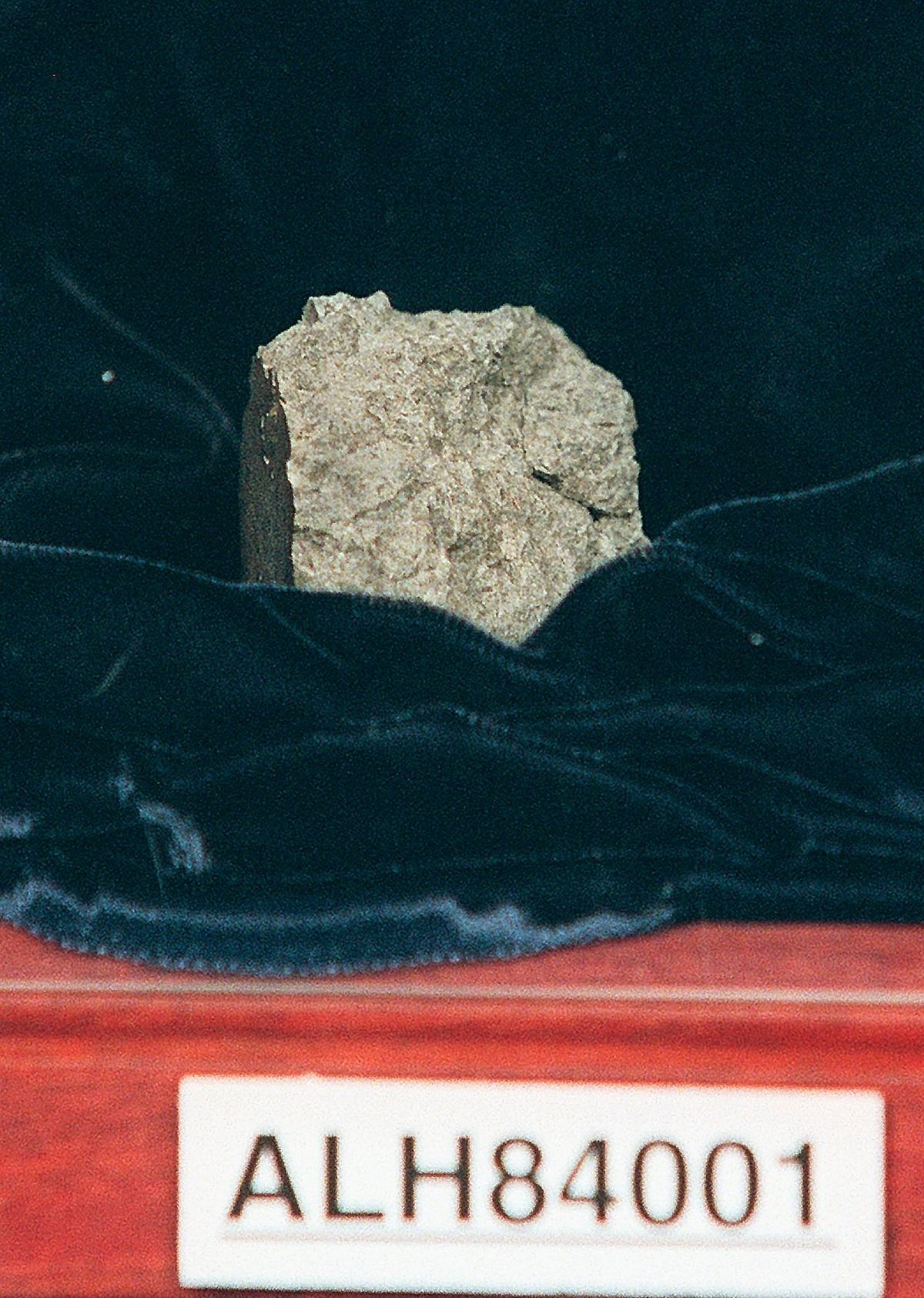 Mars rock Allan Hills 84001, discovered in 1984, is shown at a NASA news conference, Aug. 7, 1996, in Washington. Scientists say they've confirmed the meteorite from Mars contains no evidence of ancient Martian life. The rock caused a splash 25 years ago when a NASA-led team announced that its organic compounds may have been left by living creatures, however primitive. Researchers chipped away at that theory over the decades. A team of scientists led by Andrew Steele of the Carnegie Institution published their findings Thursday, Jan. 13, 2022.  (DOUG MILLS)