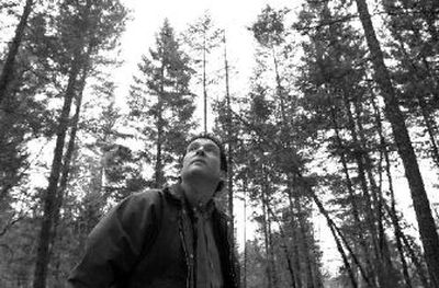 
Link Phillippi, president of Rough & Ready Lumber Co. in O'Brien, Ore., is building a biomass generator to produce steam and electricity by burning small trees thinned from stands like this to reduce wildfire danger and help the mature trees grow faster. 
 (Associated Press / The Spokesman-Review)