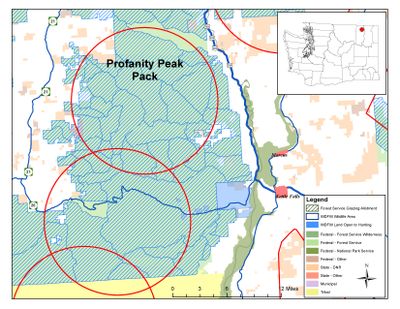 Circle shows approximate range of the Profanity Peak wolf pack, which is north of U.S. 20 in Ferry County, Washington.w (Washington Department of Fish and Wildlife)
