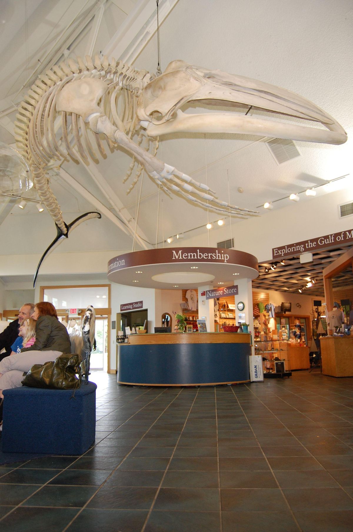 The Seacoast Science Center Lobby. (Seacoast Science Center / Seacoast Science Center)