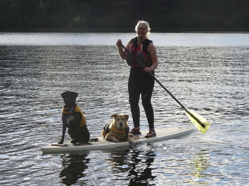 Doggy paddling: Diana Roberts of Spokane, pictured on Lake Coeur d’Alene near Heyburn State Park, hasn’t convinced her dogs – Rufaro (sitting) and Murungu (lying down) – that the sport is called SUP: Standup paddle boarding. “You know how hard I worked to get the dogs to sit/lay down so we had a slight hope of not ending up in the drink every five minutes,” Roberts added. (Emily Cielto)