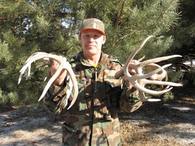 Gathering antlers shed each winter by deer, elk and moose is growing in popularity, creating a competition to go out earlier and disturb big-game animals on their winter ranges. (File Associated Press / The Spokesman-Review)