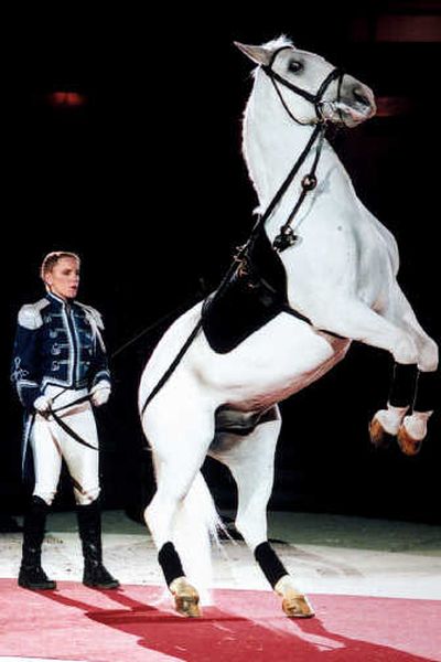 
The Lipizzaner Stallions will perform at Beasley Coliseum in Pullman tonight. They'll play the Spokane Arena on Saturday and Sunday. Courtesy White Stallion Productions
 (Courtesy White Stallion Productions / The Spokesman-Review)