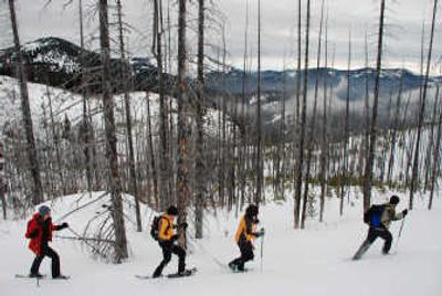 
Wade Sumner, Spokane Parks and Recreation Department trip leader, guides a group of snowshoers through a 1988 forest fire area during a 5.5-mile trek around Sherman Peak near Sherman Pass. 
 (Photos by RICH LANDERS / The Spokesman-Review)