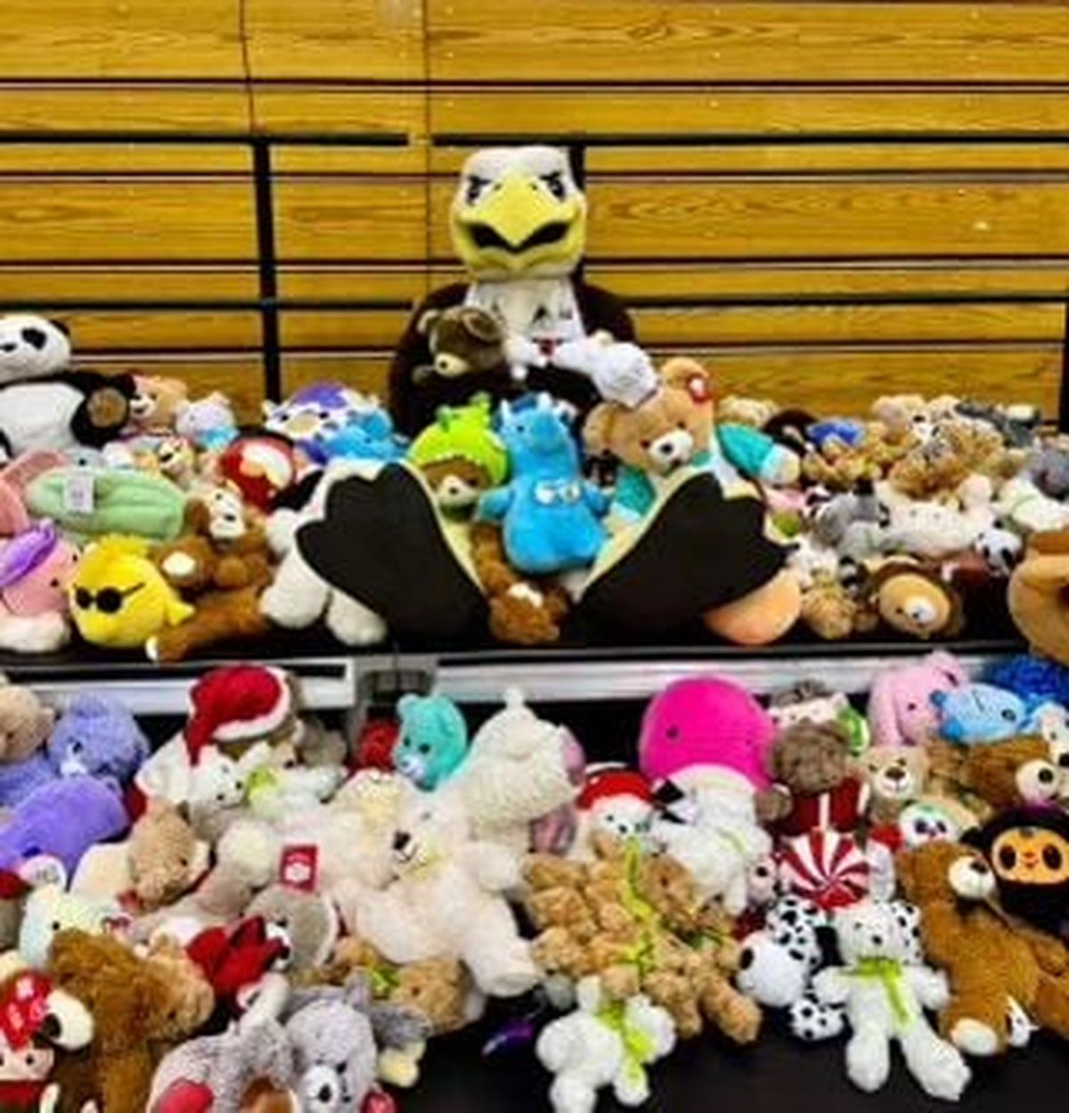 Eastern Washington University held a teddy bear toss during two basketball games in November.  (Bridget Mayfield/EWU Athletics)