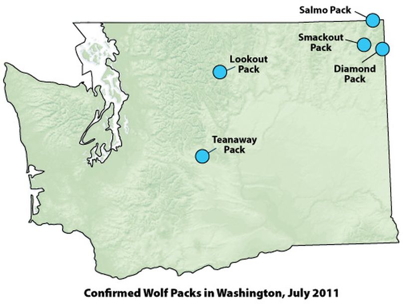 As of fall 2011, five breeding gray wolf packs have been documented in Washington state. (Washington Department of Fish and Wildlife)