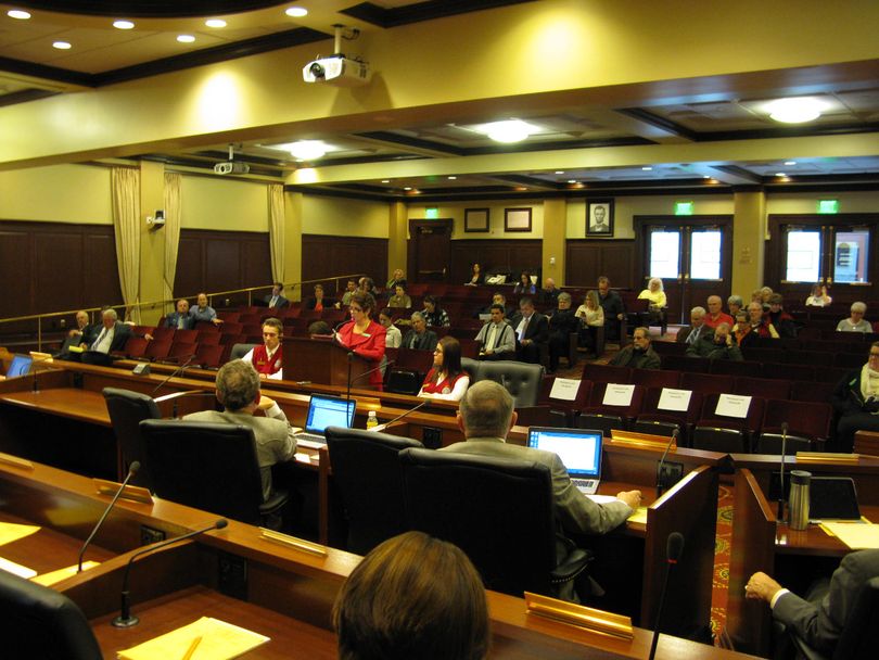 Karen Echeverria of the Idaho School Boards Association testifies at a joint 