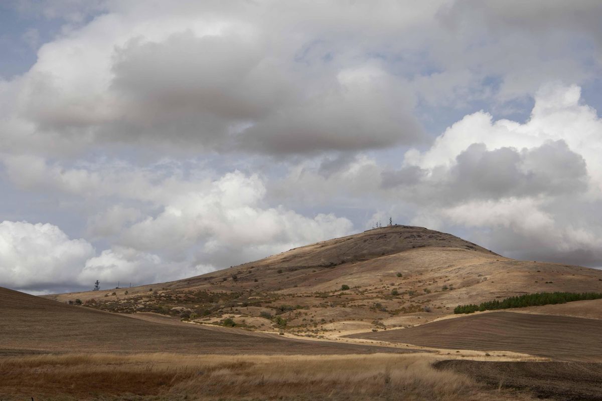 Steptoe Butte (Tyler Tjomsland / The Spokesman-Review)