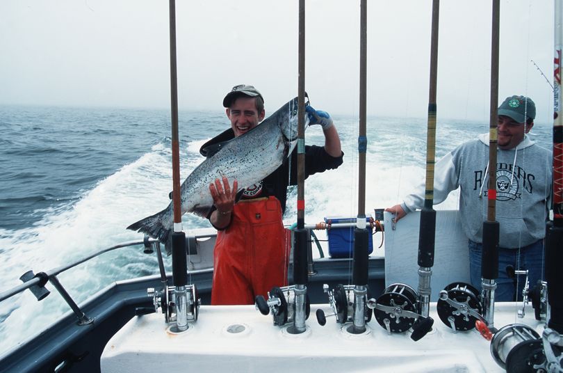 A deck hand shows off a king salmon, one of many his clients caught on a day of charter boat fishing in the Pacific Ocean out of Westport, Wash.  (File)