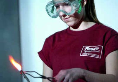 
North Central freshman Ashley Magee demonstrates how different elements burn as different colors during her team's final presentation on fireworks at the Mathematics, Engineering, Science Achievement competition at Washington State University Spokane campus Tuesday afternoon. 
 (Holly Pickett / The Spokesman-Review)