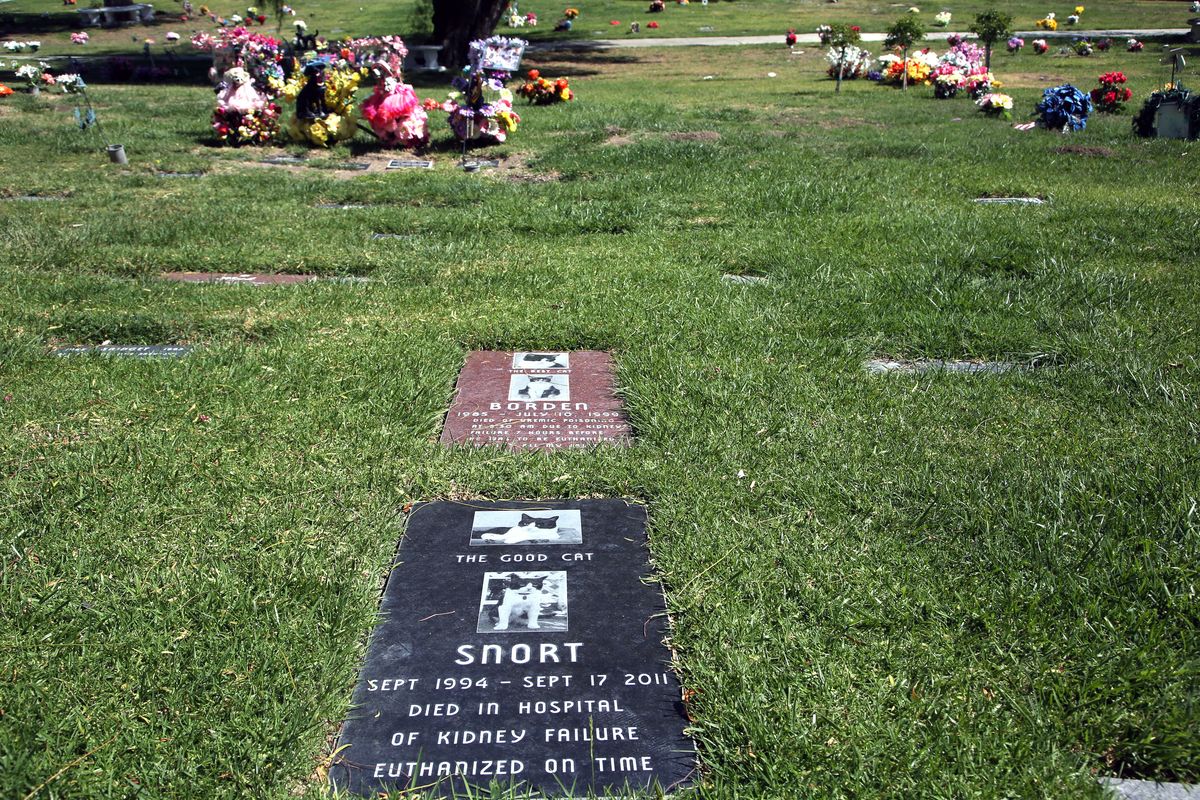 Beloved family cats are memorialized in the Los Angeles Pet Cemetery.