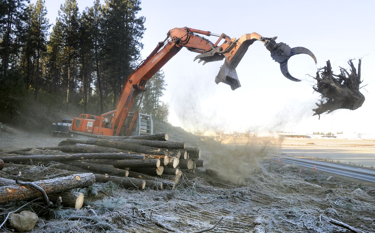 Tim Davison, of Diversified Wood Recycling Inc., tosses a stump to another pile Thursday while clearing trees from along Bigelow Gulch Road east of Havana.  (Dan Pelle / The Spokesman-Review)