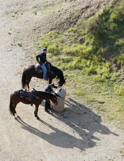 Mounted police officers conduct a search after a human head was discovered below the Hollywood Sign in Los Angeles. (Associated Press)