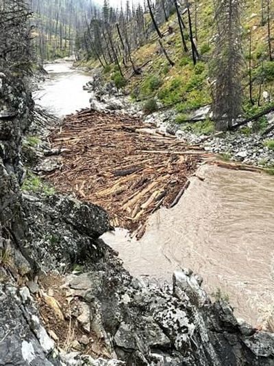 A log jam on the Middle Fork of the Salmon River formed after a lightning storm moved through the area Wednesday afternoon.  (Courtesy of U.S. Forest Service)