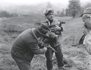 Idaho Fish & Game releases the first wild turkeys in Idaho in 1961 as part of an introduction program aimed at providing hunting opportunities; wild turkeys are now abundant in the state, though they're not native. (Idaho Fish & Game)