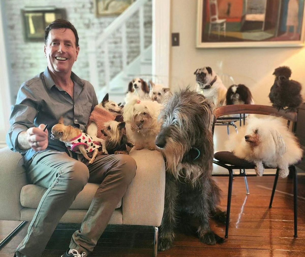 Over the past decade, Steve Greig has adopted dozens of disabled and elderly dogs, hoping to give them the happiest end-of-life experience possible. (@wolfgang2242/Handout)