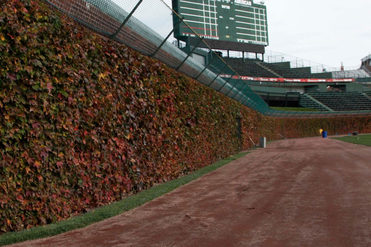 FILE - This Oct. 25, 2011, file photo, shows the outfield ivy and iconic manual scoreboard at Wrigley Field in Chicago. Getting a side to give back something it gained previously in collective bargaining can lead to difficult negotiations, which is why Major League Baseball has its first work stoppage in 26 years.  (Charles Rex Arbogast)