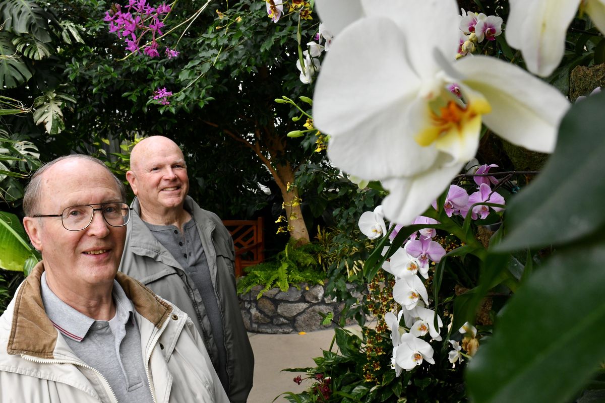 Jim Pearce, right, president of the Spokane Orchid Society and member Alan Alexander pose for a photo with Orchids at the Gaiser Concervatory in Manito Park on Friday, March 15, 2019, in Spokane, Wash. (Tyler Tjomsland / The Spokesman-Review)