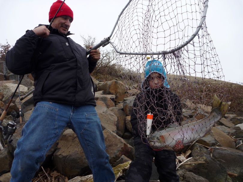 Tim Wills gets some help from his 10-year-old son, Josh, to land a bright steelhead on Dec. 11, 2010, along the Snake River shoreline several miles upstream from Lower Granite Dam. (Rich Landers)