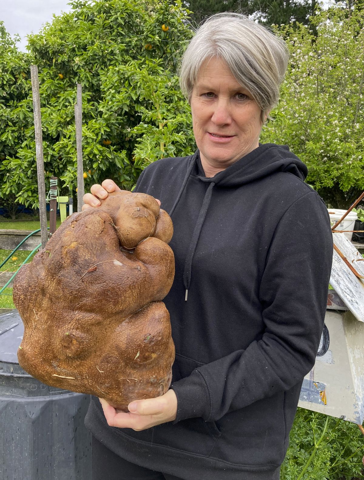 Donna Craig-Brown holds a large potato dug from her garden at her home near Hamilton, New Zealand on Wednesday. The potato weighs 17 pounds.  (HONS)