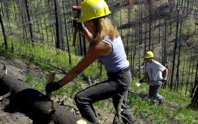 
Temporary federal workers Cathy Palin, left, and Dwain Schallenberger work to reduce soil erosion near charred timber outside the Bitterroot National Forest near Darby, Mont., in July 2001. At its centennial, the Forest Service is struggling to impress upon the public the importance of the work that it does.
 (File/Associated Press / The Spokesman-Review)