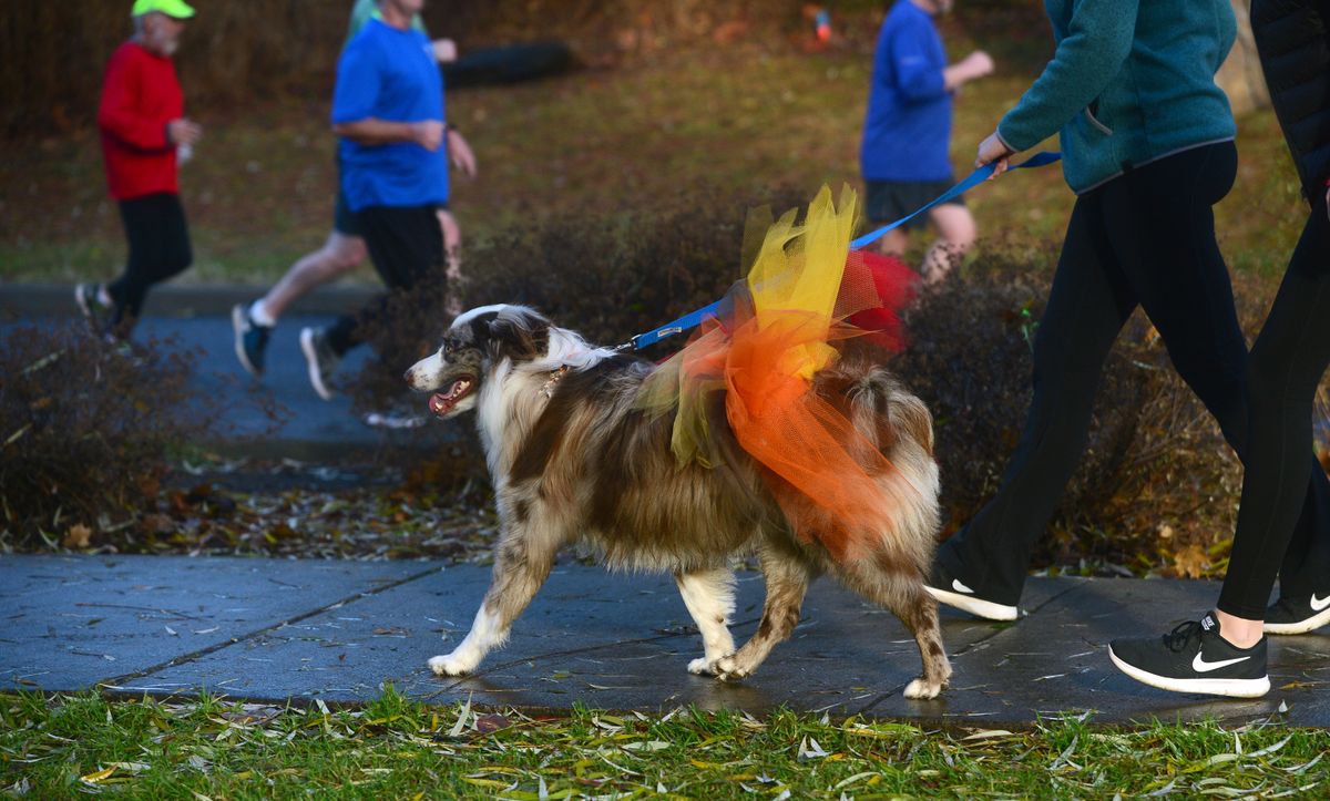 Spokane Turkey Trot kicks off Thanksgiving with costumes, dogs and