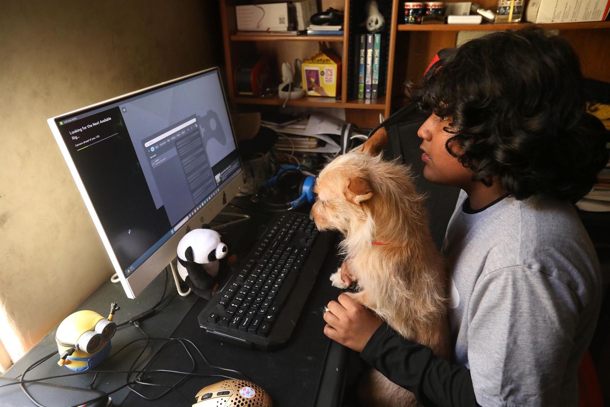 Sixth grader Luis Coronado, Jr., 12, spends time at his home computer, which he used to do homework with support from his dog Candy in his family apartment in Huntington Park, California, on April 19, 2024.    (Genaro Molina/Los Angeles Times/TNS)